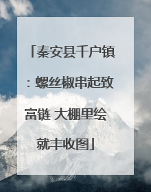 秦安县千户镇：螺丝椒串起致富链 大棚里绘就丰收图