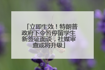 立即生效！特朗普政府下令暂停留学生新签证面谈，社媒审查或将升级