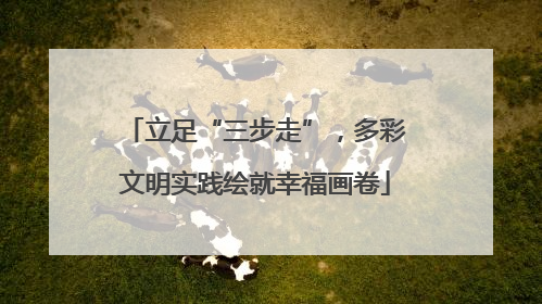 立足“三步走”，多彩文明实践绘就幸福画卷