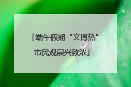 端午假期“文博热” 市民观展兴致浓