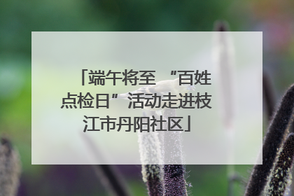 端午将至 “百姓点检日”活动走进枝江市丹阳社区