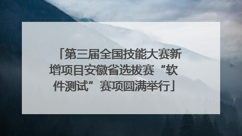 第三届全国技能大赛新增项目安徽省选拔赛“软件测试”赛项圆满举行