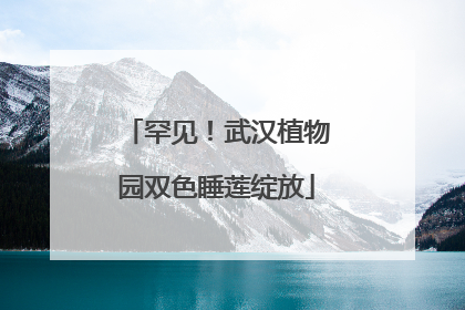 罕见！武汉植物园双色睡莲绽放