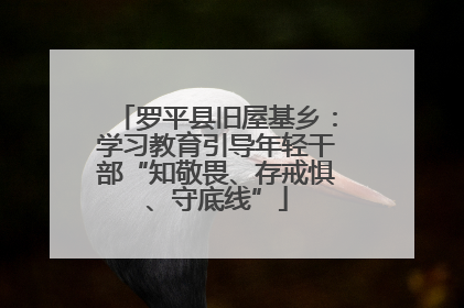 罗平县旧屋基乡：学习教育引导年轻干部“知敬畏、存戒惧、守底线”