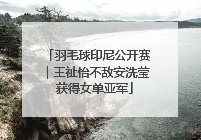 羽毛球印尼公开赛｜王祉怡不敌安洗莹 获得女单亚军