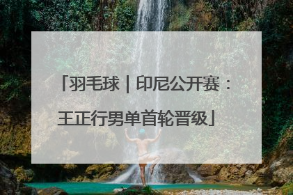 羽毛球｜印尼公开赛：王正行男单首轮晋级
