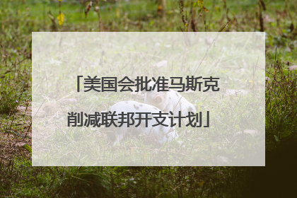 美国会批准马斯克削减联邦开支计划