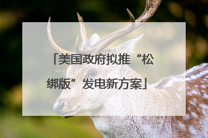 美国政府拟推“松绑版”发电新方案