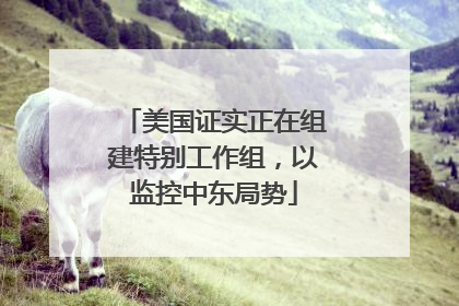 美国证实正在组建特别工作组，以监控中东局势
