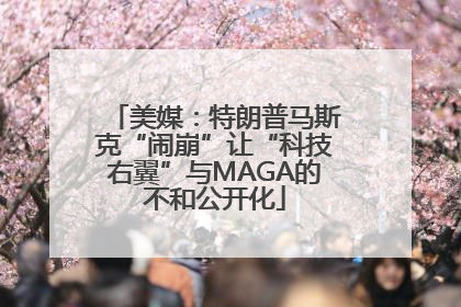 美媒：特朗普马斯克“闹崩”让“科技右翼”与MAGA的不和公开化