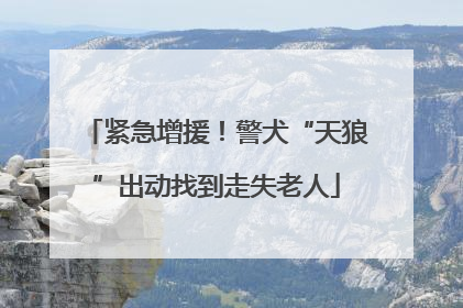 紧急增援！警犬“天狼”出动找到走失老人