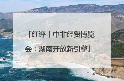 红评丨中非经贸博览会：湖南开放新引擎