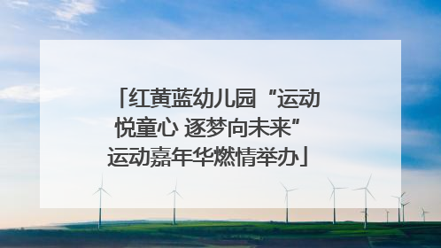 红黄蓝幼儿园“运动悦童心 逐梦向未来”运动嘉年华燃情举办