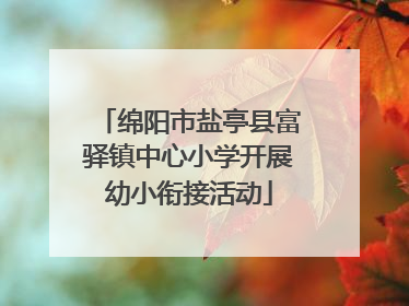 绵阳市盐亭县富驿镇中心小学开展幼小衔接活动