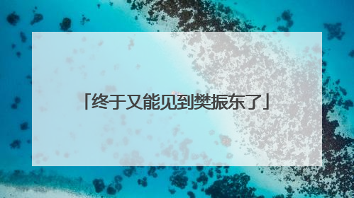终于又能见到樊振东了