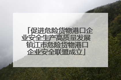 促进危险货物港口企业安全生产高质量发展 镇江市危险货物港口企业安全联盟成立