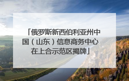 俄罗斯新西伯利亚州中国（山东）信息商务中心在上合示范区揭牌