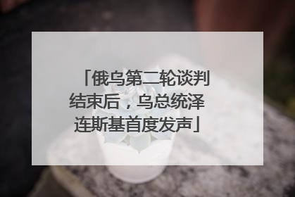 俄乌第二轮谈判结束后，乌总统泽连斯基首度发声