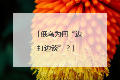 俄乌为何“边打边谈”？