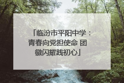 临汾市平阳中学：青春向党担使命 团徽闪耀践初心