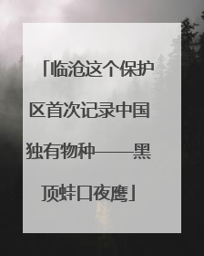 临沧这个保护区首次记录中国独有物种——黑顶蛙口夜鹰