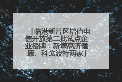 临港新片区增值电信开放第二批试点企业授牌：新增高济健康、科戈波特两家
