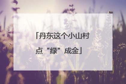 丹东这个小山村点“绿”成金