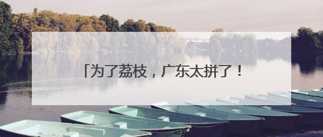 为了荔枝，广东太拼了！千万达人十万村播都来了