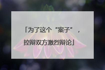 为了这个“案子”，控辩双方激烈辩论