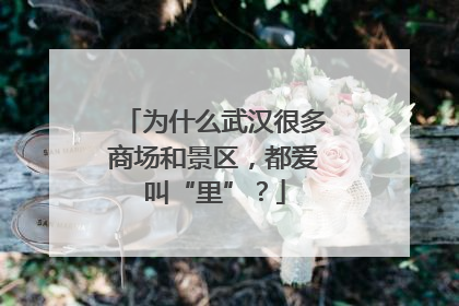 为什么武汉很多商场和景区，都爱叫“里”？