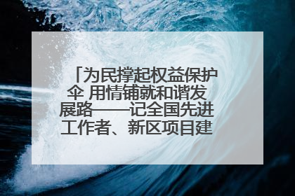 为民撑起权益保护伞 用情铺就和谐发展路——记全国先进工作者、新区项目建设中心干部卢小勇