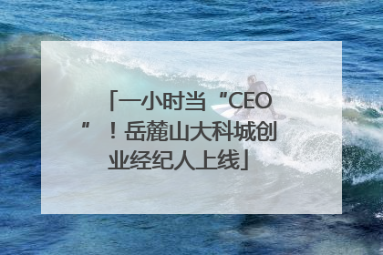一小时当“CEO”！岳麓山大科城创业经纪人上线