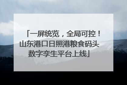 一屏统览，全局可控！山东港口日照港粮食码头数字孪生平台上线
