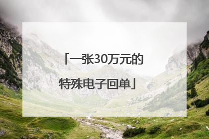 一张30万元的特殊电子回单