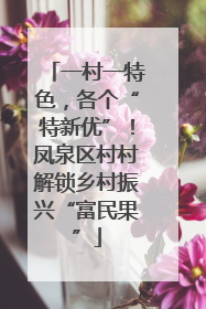 一村一特色，各个“特新优”！凤泉区村村解锁乡村振兴“富民果”