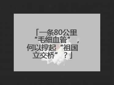 一条80公里“毛细血管”，何以撑起“祖国立交桥”？