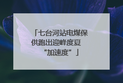 七台河站电煤保供跑出迎峰度夏 “加速度”