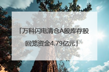 万科闪电清仓A股库存股 回笼资金4.79亿元