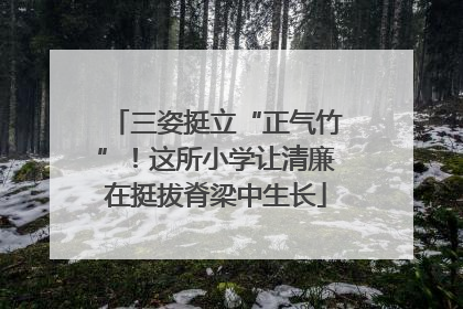 三姿挺立“正气竹”！这所小学让清廉在挺拔脊梁中生长