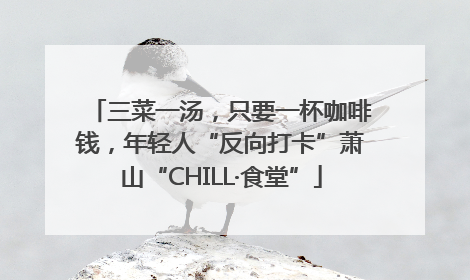 三菜一汤，只要一杯咖啡钱，年轻人“反向打卡”萧山“CHILL·食堂”