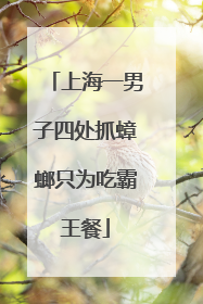 上海一男子四处抓蟑螂只为吃霸王餐