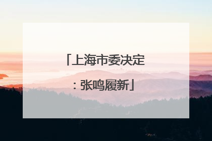 上海市委决定：张鸣履新