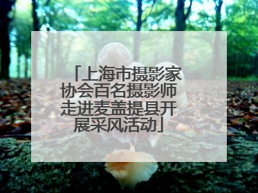 上海市摄影家协会百名摄影师走进麦盖提县开展采风活动