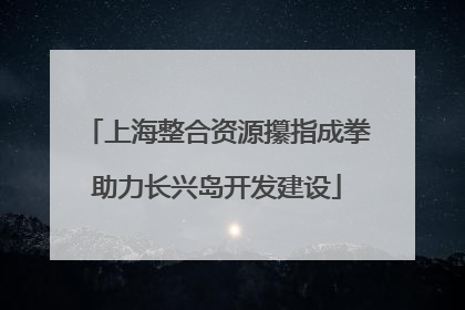 上海整合资源攥指成拳助力长兴岛开发建设