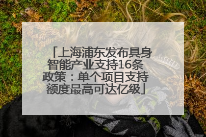 上海浦东发布具身智能产业支持16条政策：单个项目支持额度最高可达亿级