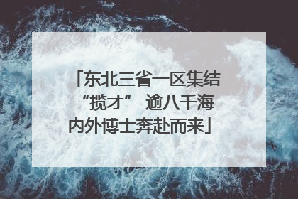 东北三省一区集结“揽才” 逾八千海内外博士奔赴而来