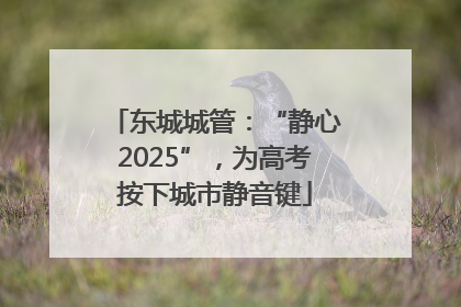东城城管：“静心2025”，为高考按下城市静音键