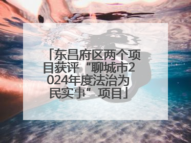 东昌府区两个项目获评“聊城市2024年度法治为民实事”项目