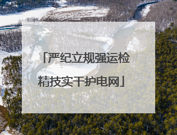 严纪立规强运检 精技实干护电网