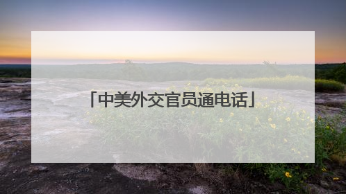 中美外交官员通电话